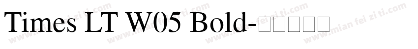 Times LT W05 Bold字体转换